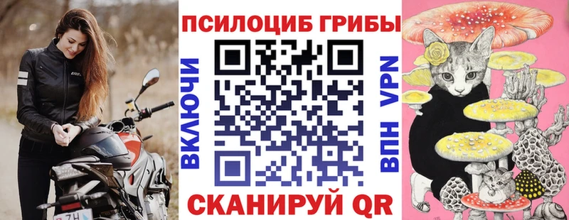 ОМГ ОМГ как зайти  купить наркотики цена  Углич  Галлюциногенные грибы Psilocybine cubensis 
